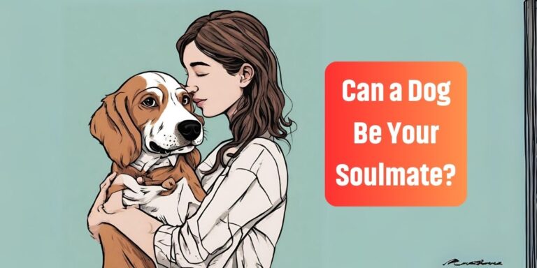 Can a Dog Be Your Soulmate