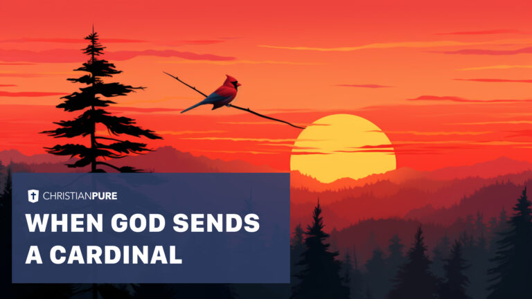 Biblical Meanings When God Sends a Red Cardinal
