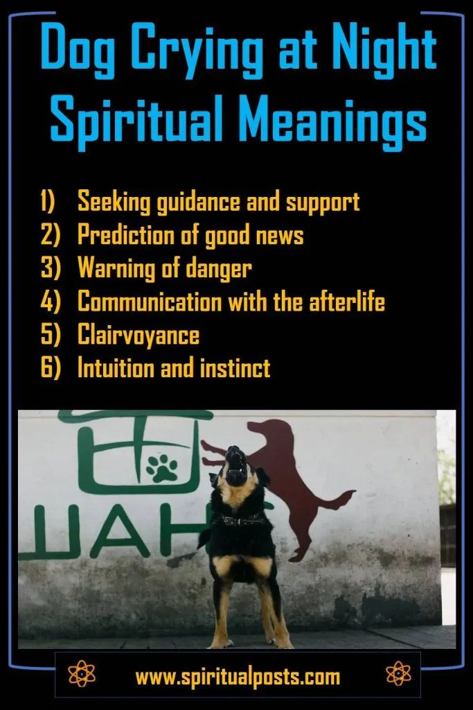 Dog Crying Or Barking at Night Spiritual Meaning