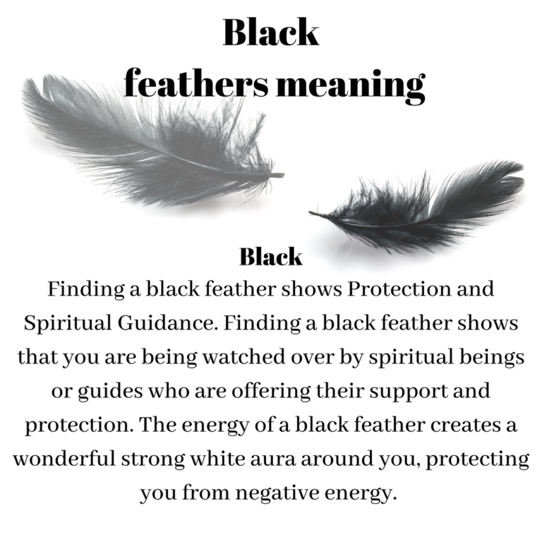 Finding Black Feather Spiritual Meaning