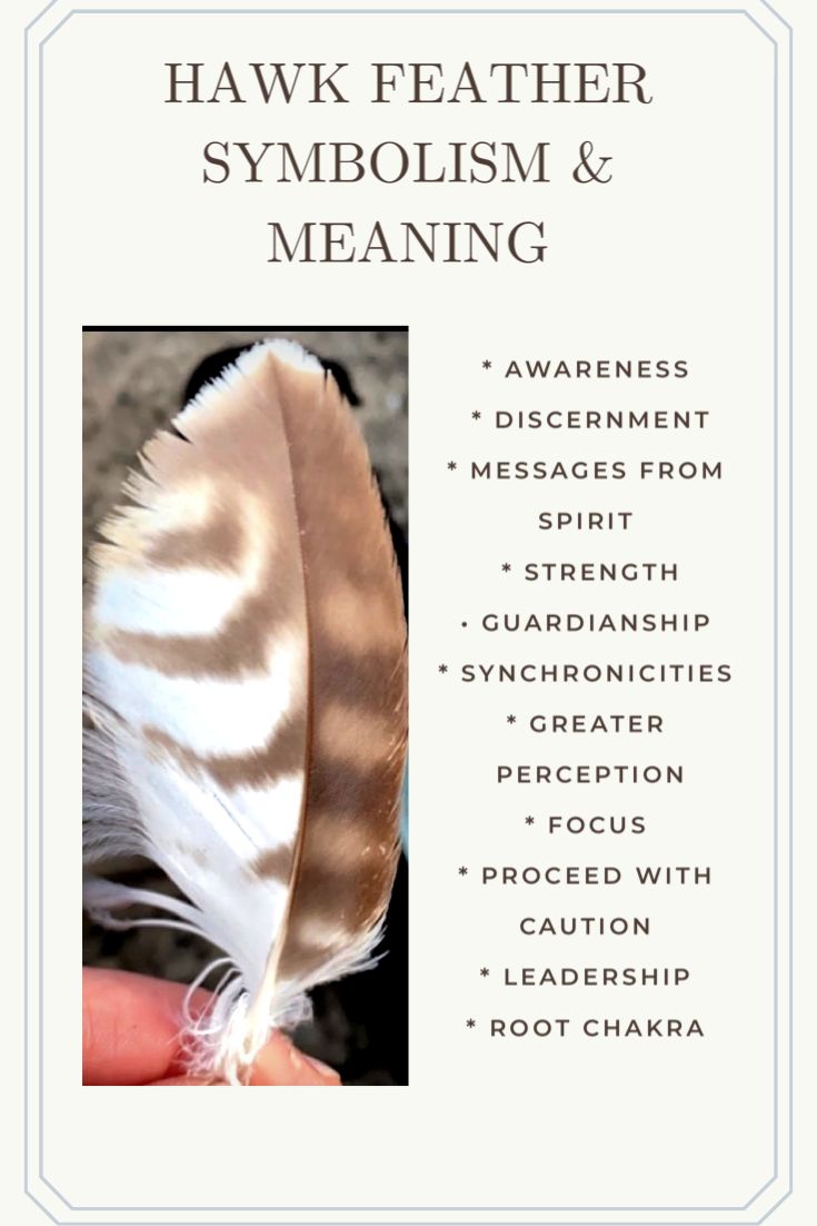 Finding Hawk Feather Spiritual Meaning