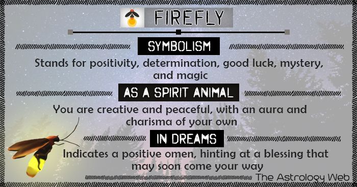 Firefly Or Lightning Bug Spiritual Meaning Symbolism