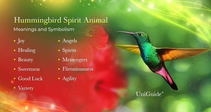 Hummingbird Spiritual Meaning Symbolism