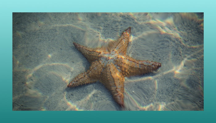 Ocean Symbolism Spiritual Meanings