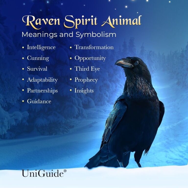 Raven Crow Spiritual Meaning And Symbolism