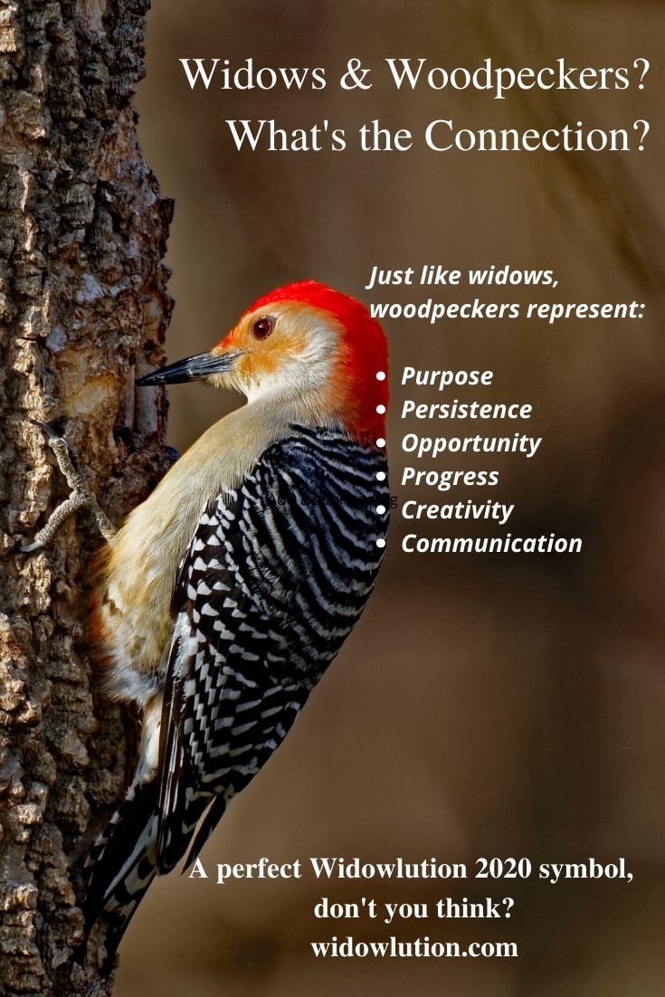 Red Headed Woodpecker Spiritual Meaning