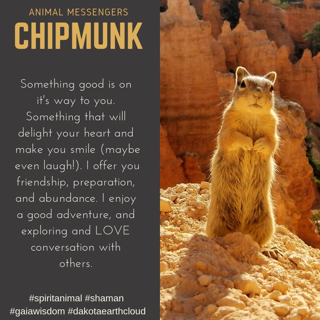 Spiritual Meaning of a Chipmunk