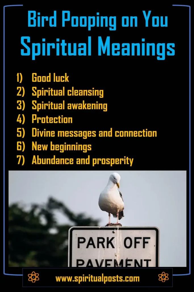 Spiritual Meaning of Bird Pooping on You