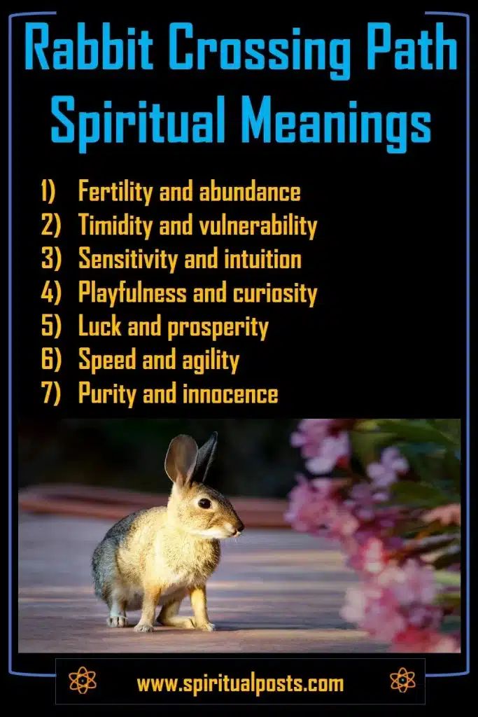 Spiritual Meaning of Rabbit Crossing Your Path