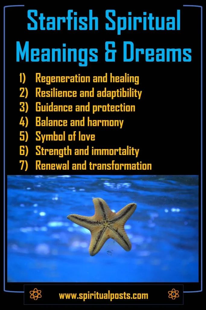 Spiritual Meaning of Starfish Dream Symbolism