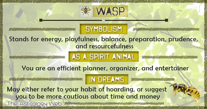 Spiritual Meaning of the Wasp