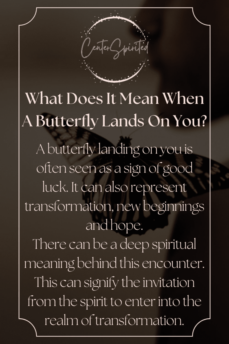 What Does It Mean When a Butterfly Lands on You Spiritually
