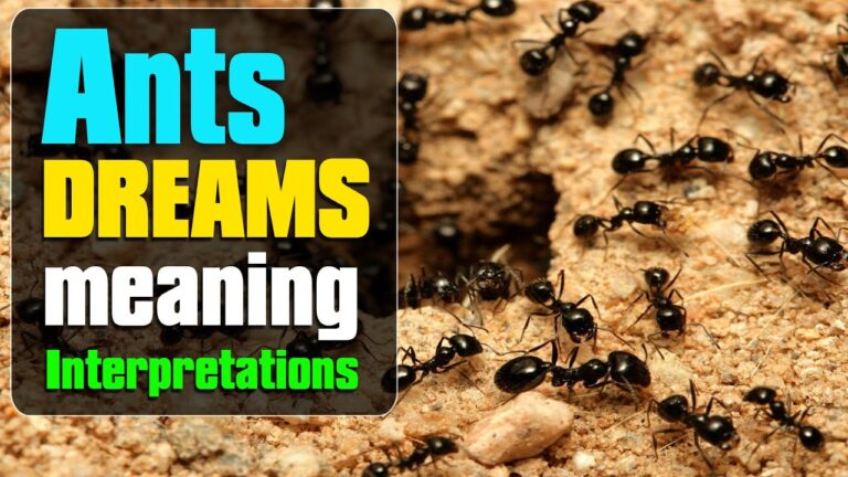 What is the Spiritual Meaning of Dreaming About Ants