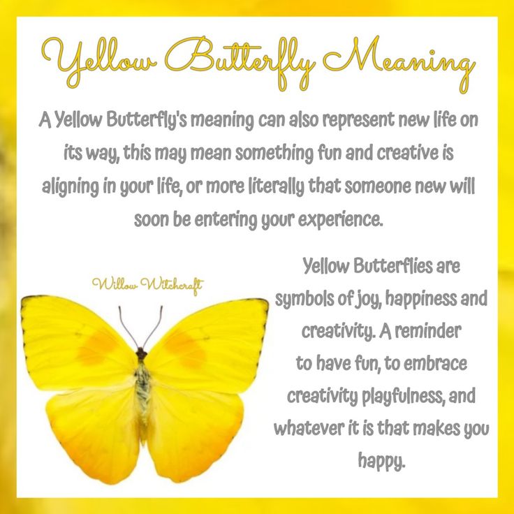 Yellow Butterfly Spiritual Meanings