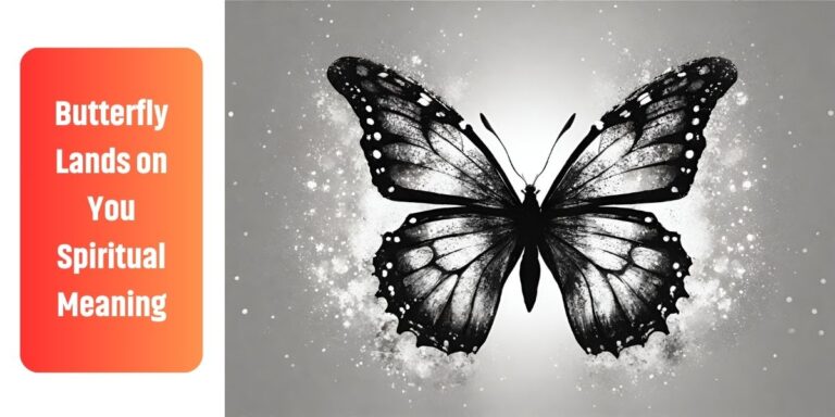 Butterfly Lands on You Spiritual Meaning | Spiritual Guide