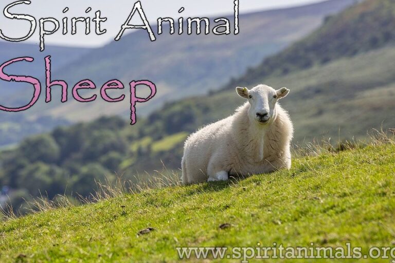 Animals Walking in Circles Spiritual Meaning