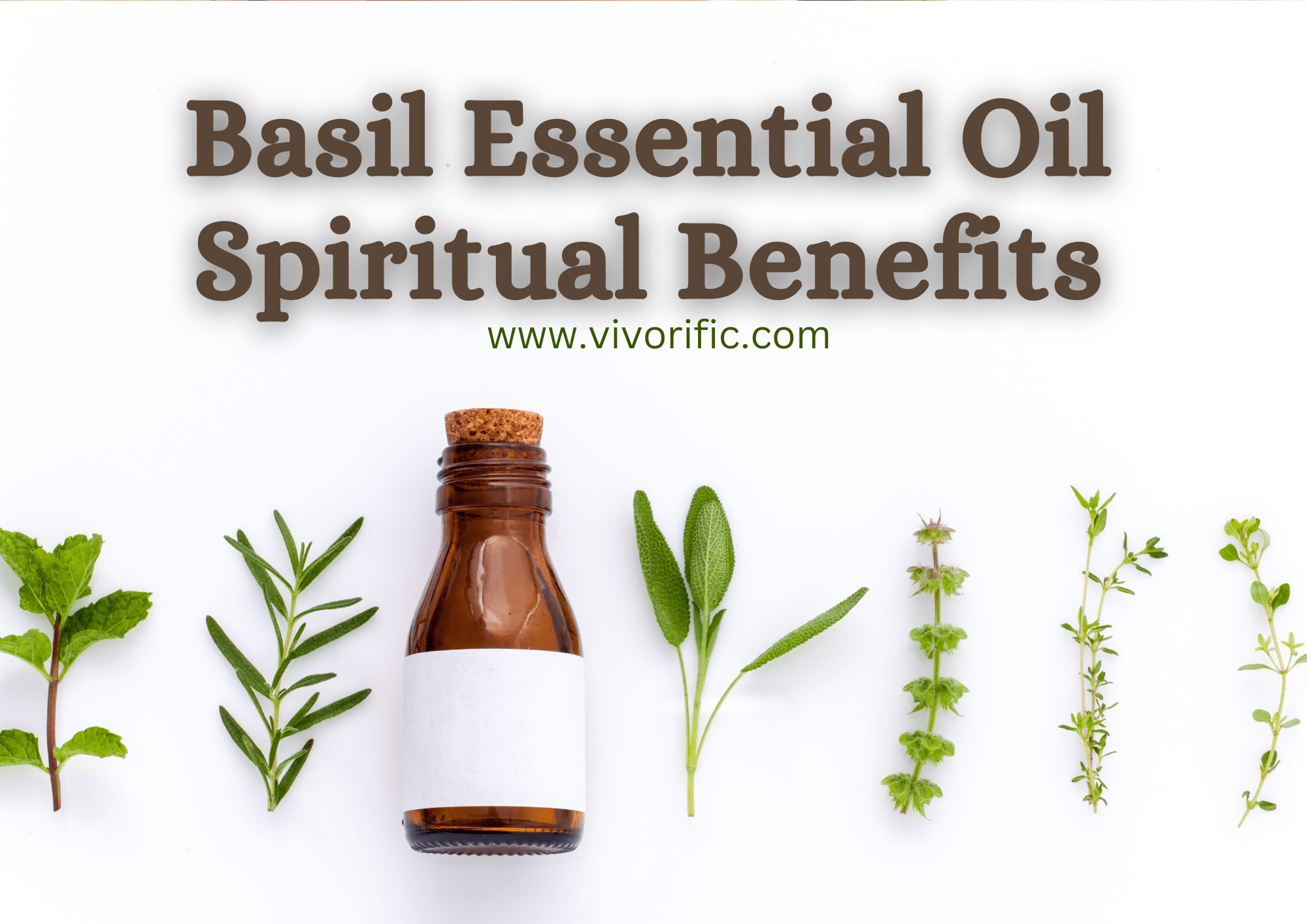 Basil Essential Oil Spiritual Benefits