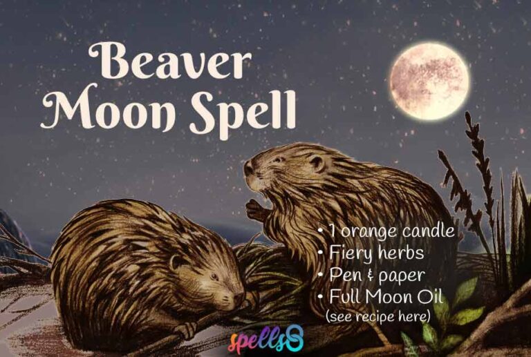 Beaver Full Moon Spiritual Meaning