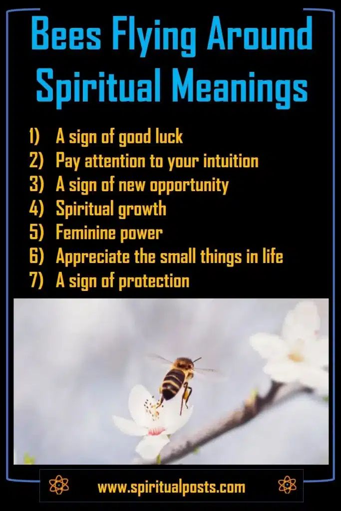 Bee Landing on You Spiritual Meaning