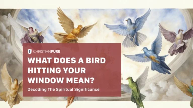 Bird Flew into Window Spiritual Meaning