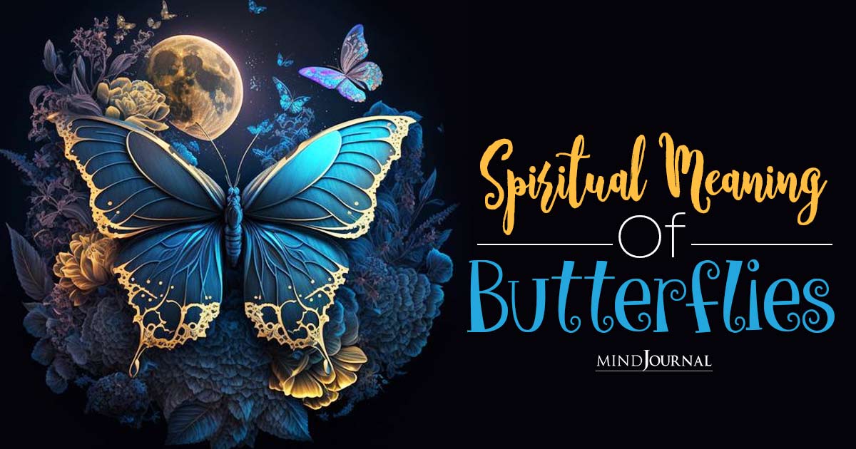 Blue And Black Butterfly Spiritual Meaning