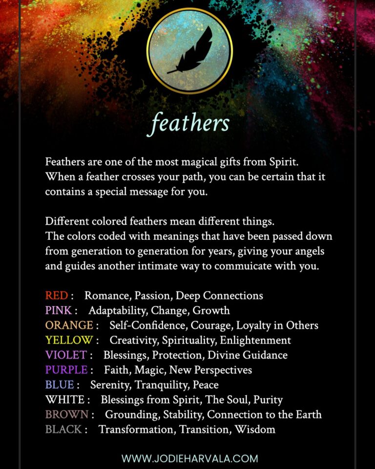 Blue And Black Feather Spiritual Meaning  : Unlocking Divine Guidance