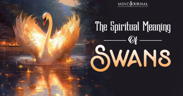 Blue Jay Spiritual Meaning Twin Flame: Unveiling The Mystical Connection