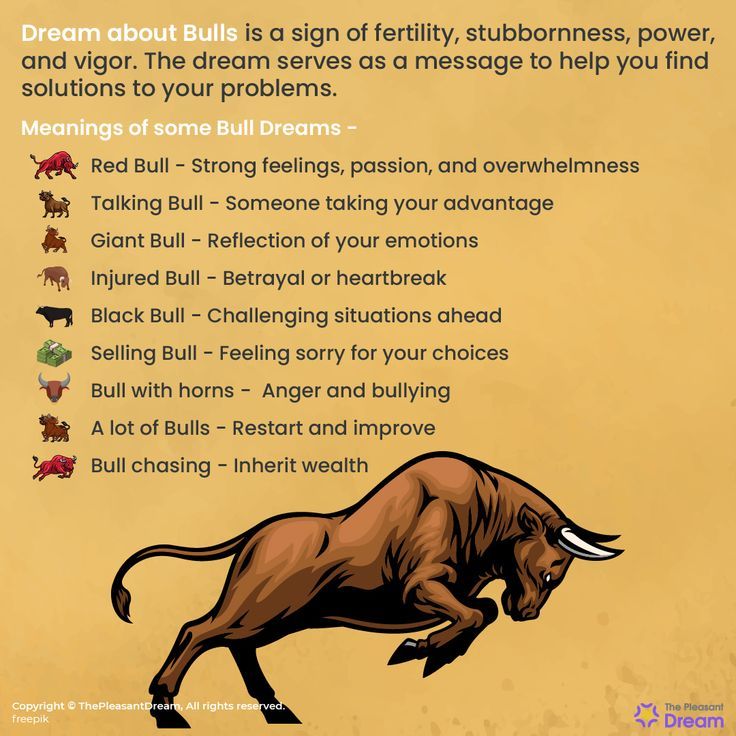 Bull in Dream Spiritual Meaning