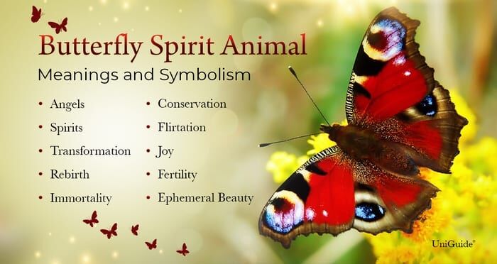 Common Buckeye Butterfly Spiritual Meaning