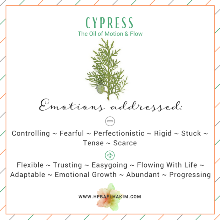 Cypress Essential Oil Spiritual Benefits