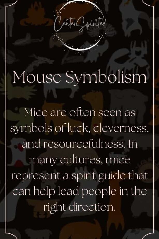 Dead Mouse in House Spiritual Meaning