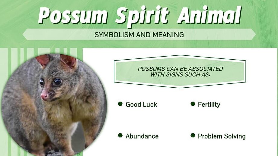 Dead Possum in Yard Spiritual Meaning