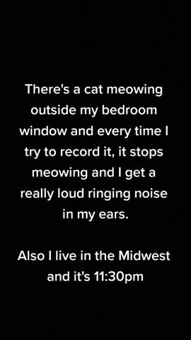 Cat Meowing Outside My Window Spiritual Meaning