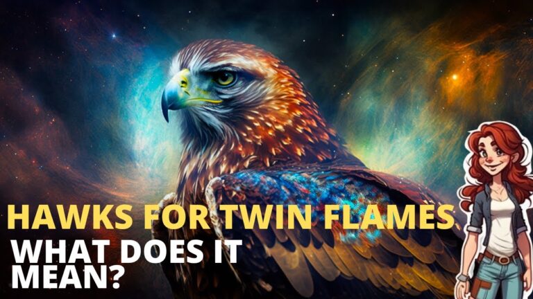 Hawk Spiritual Meaning Twin Flame