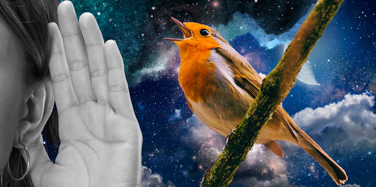 Hearing Birds Chirping at Night Spiritual Meaning