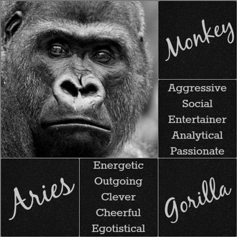 Primal Astrology of Monkey And Aries: Unveil Your Destiny