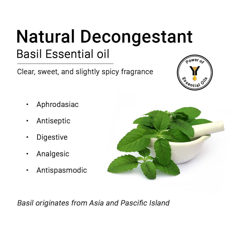 Holy Basil Essential Oil Spiritual Benefits  